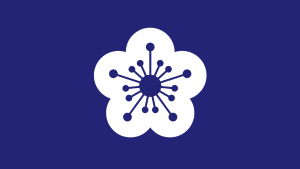 HaiguanFlag.png