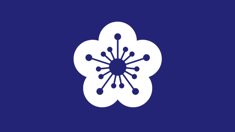 File:HaiguanFlag.png